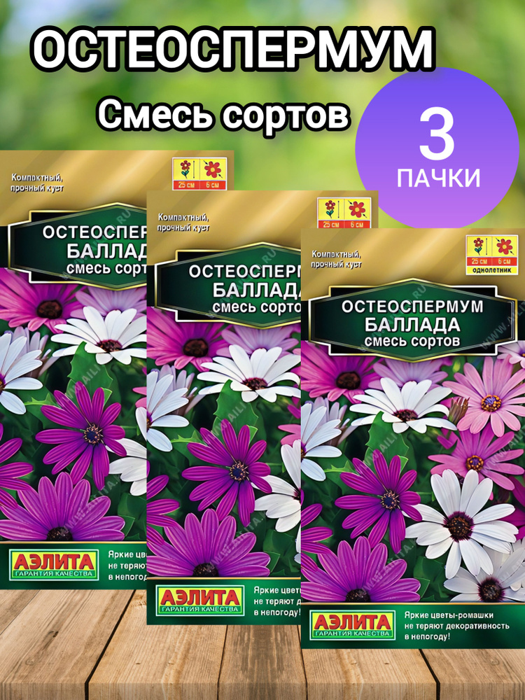 Остеоспермум семена цветов #1