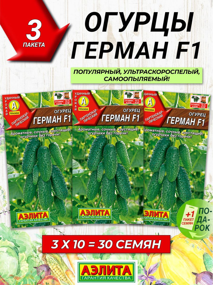 Набор семян Огурцы Герман F1 3 пакета #1