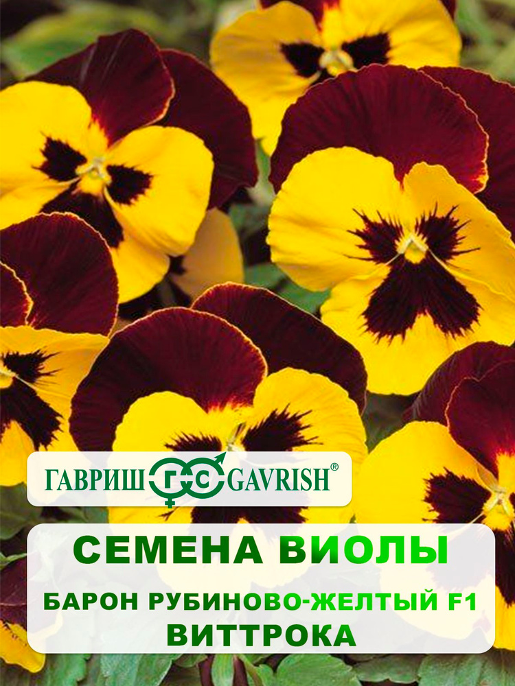 Семена Виолы Виттрока "Барон Рубиново-желтый F1", 5 шт, Анютины глазки. #1