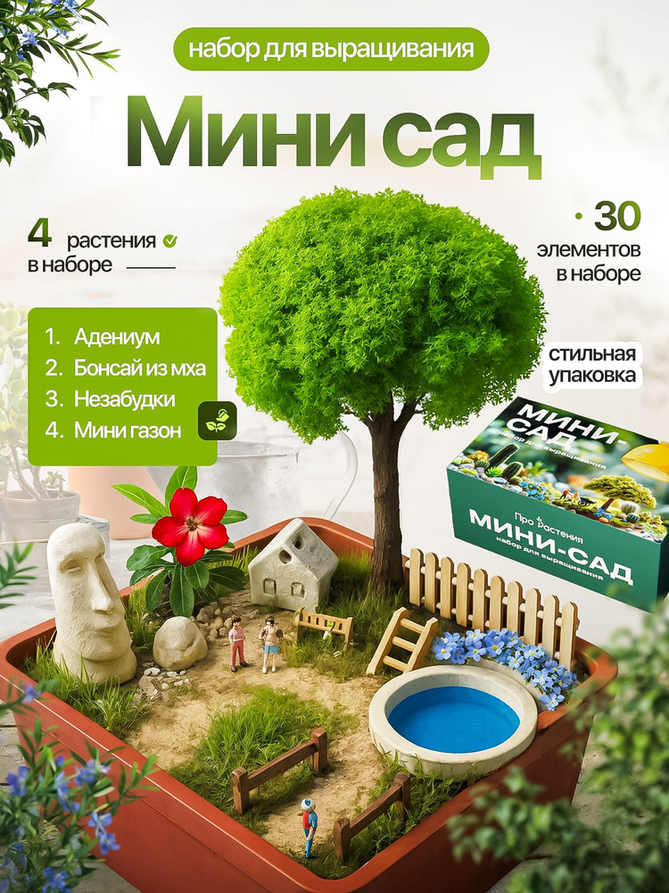 Набор для выращивания Мини садик с прудиком, адениумом, незабудками #1