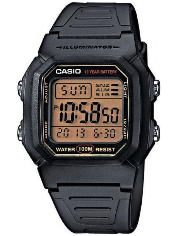 Casio Часы наручные #1