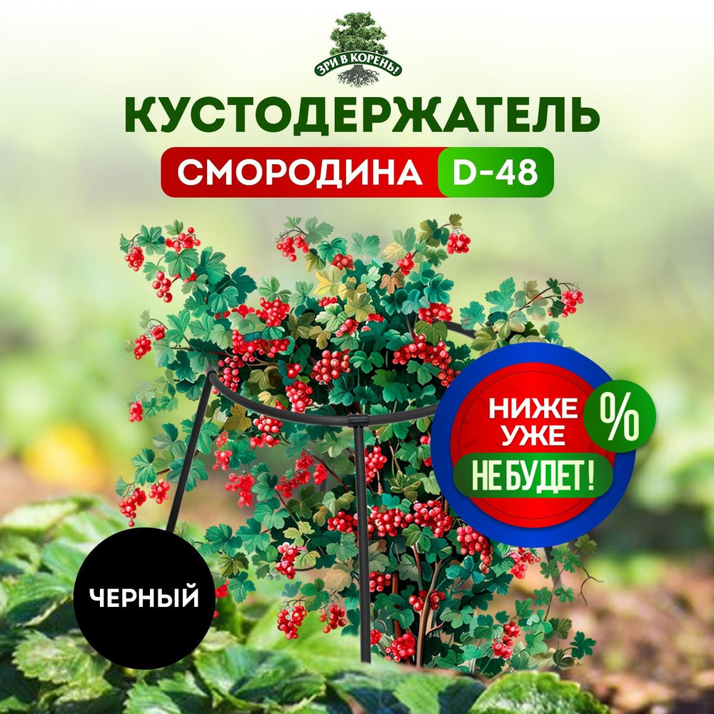 Кустодержатель Зри в корень! Смородина черный #1