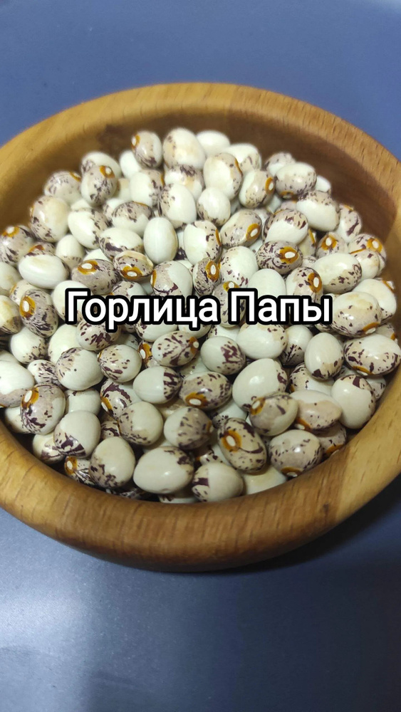Горлица Папы #1