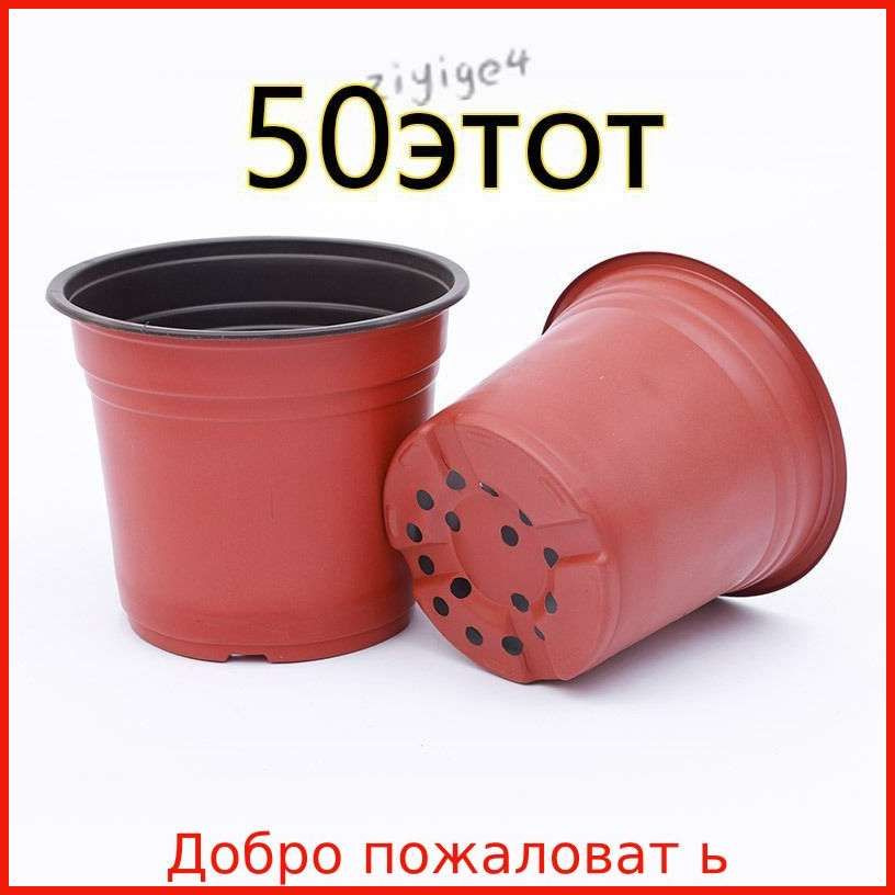 Ящик для рассады #1