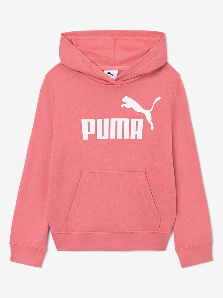 Худи PUMA ESS No. 1 Logo Hoodie TR G #1