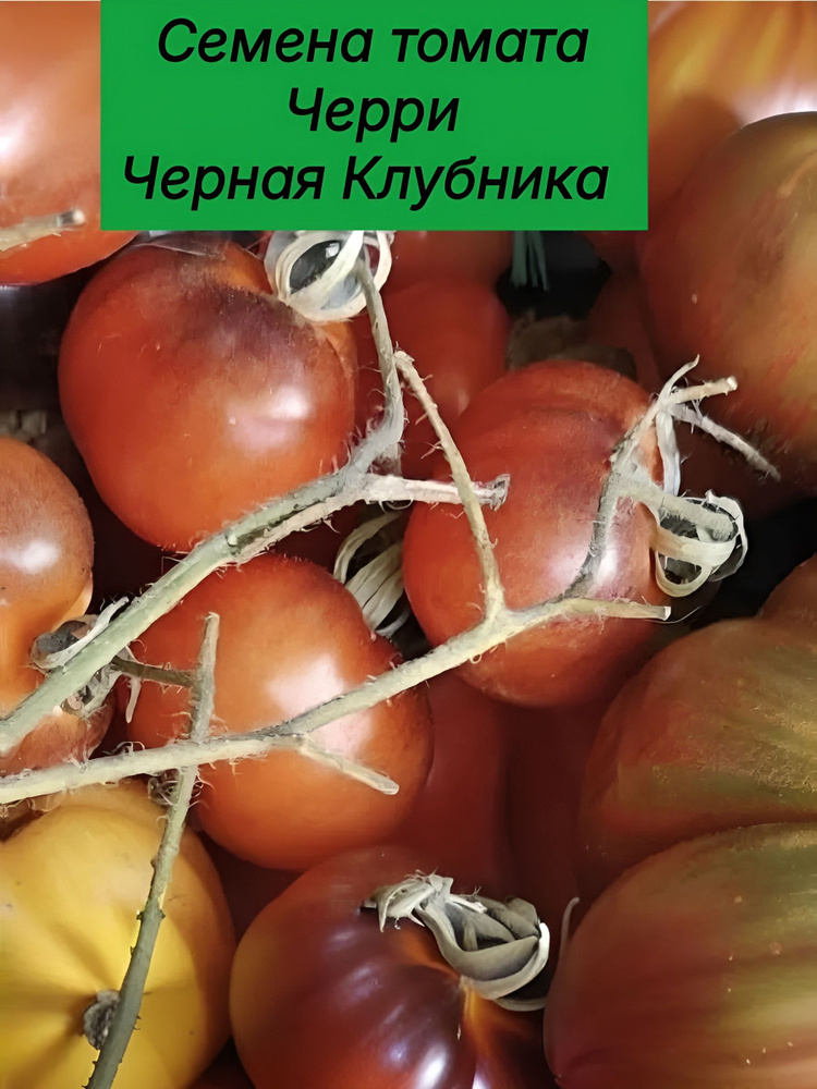 Семена ,10шт #1
