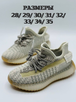 Adidas Easy Boost 350 OZON