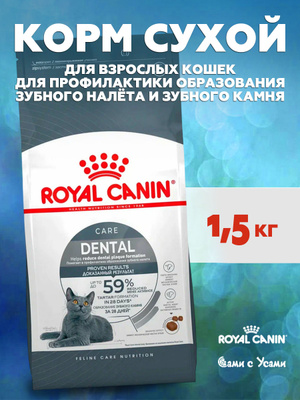 Ajoyib sargish xizmatchining striptizini onlayn tomosha qiling.