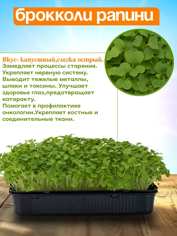 Микрозелень набор для выращивания из семян в контейнере 10 урожаев, вариант, фото 4