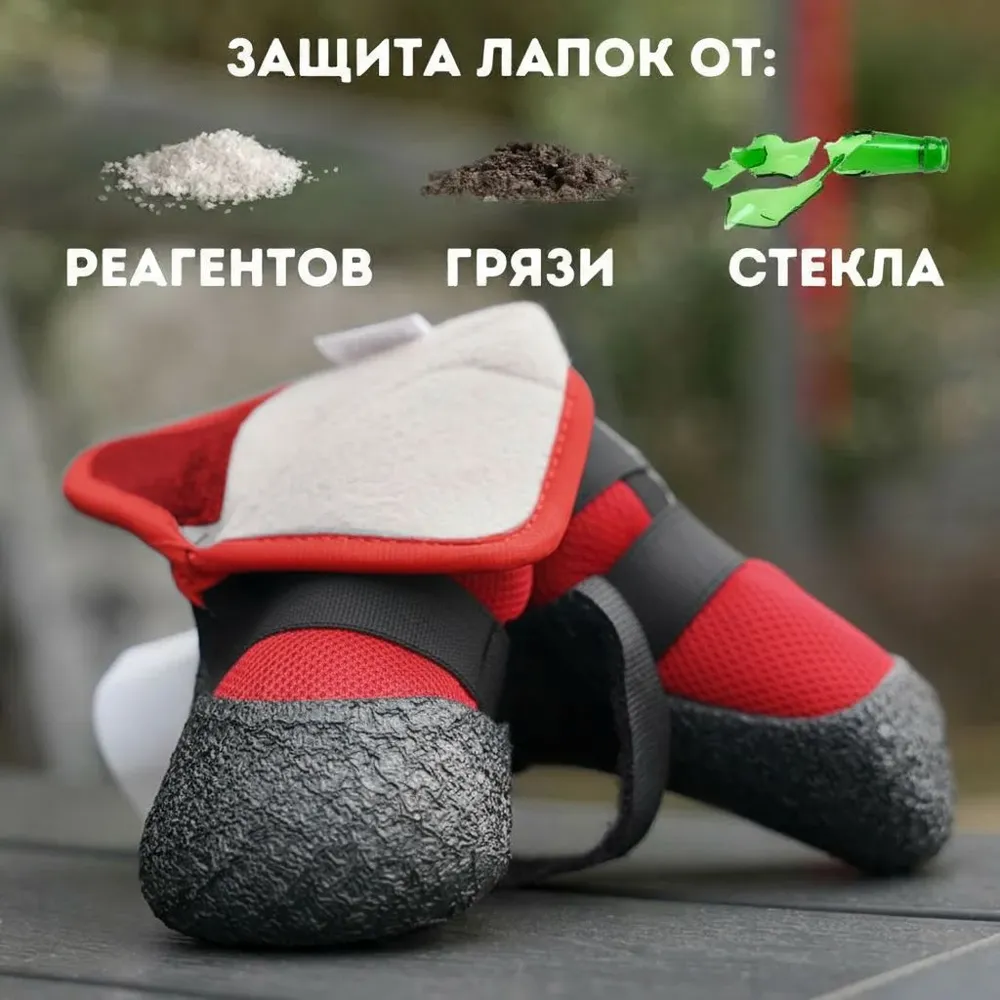 Обувь для собак Classic xxs, ширина лапы2.8cm длина изделия7.0cm,красный, красный, фото 3