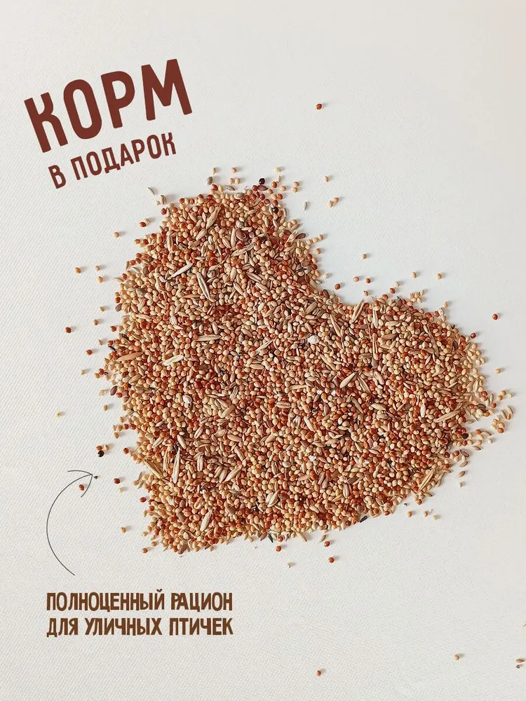 Кормушка для птиц на окно прозрачная, прозрачный, фото 4