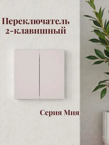 Переключатель 2-клавишный. Мия 50478