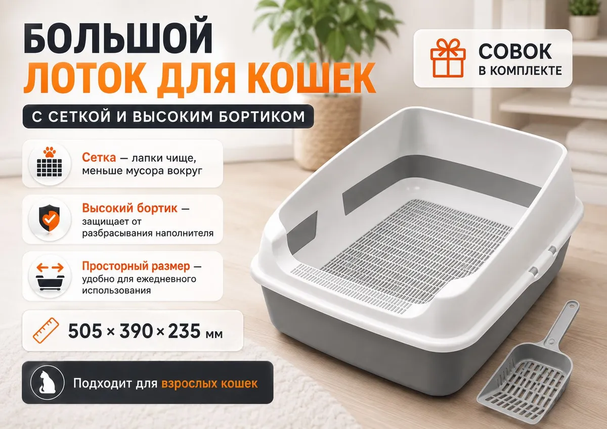 Альтернатива 