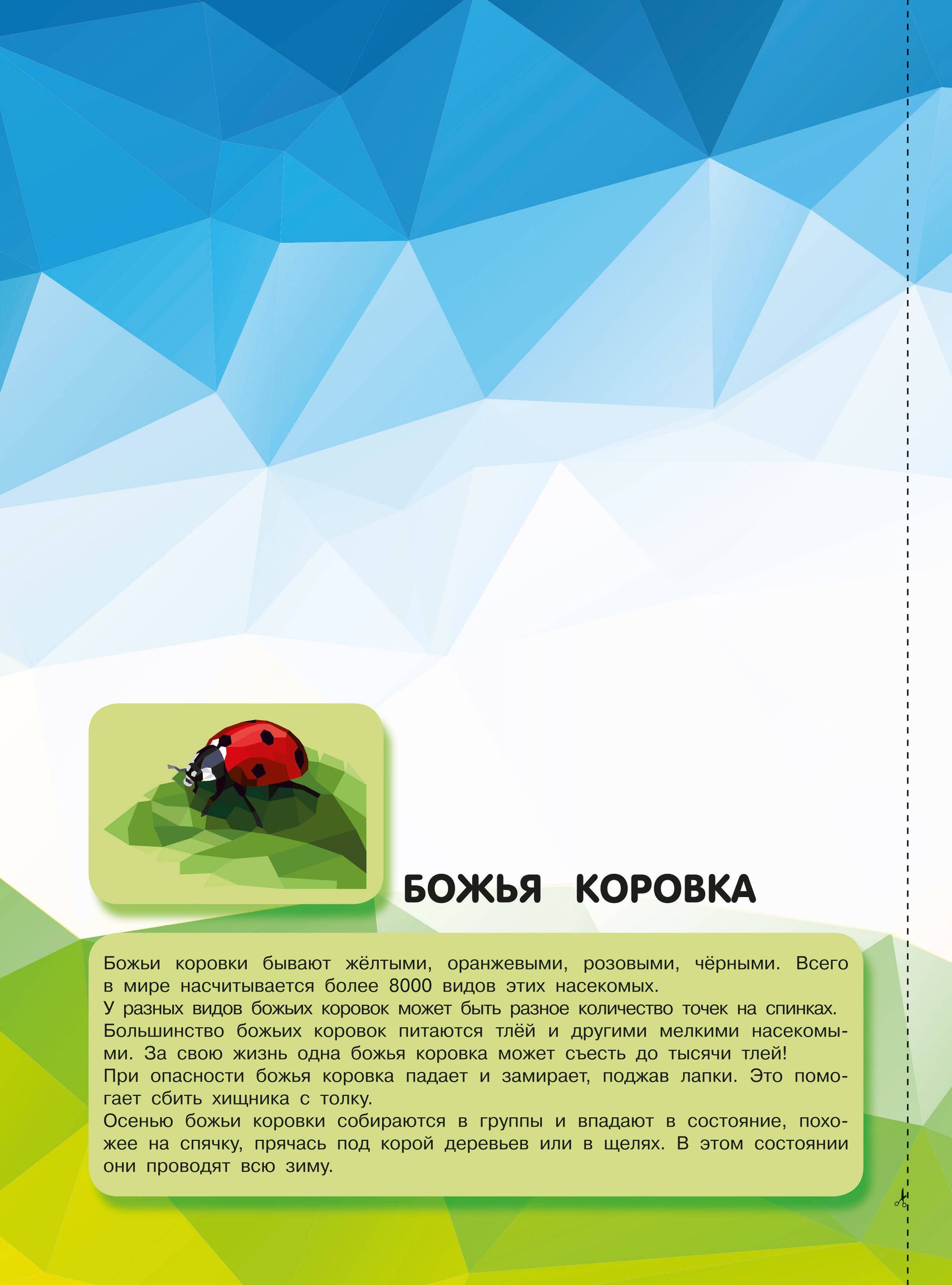 Насекомые | Nasekomye - Ozon image 6