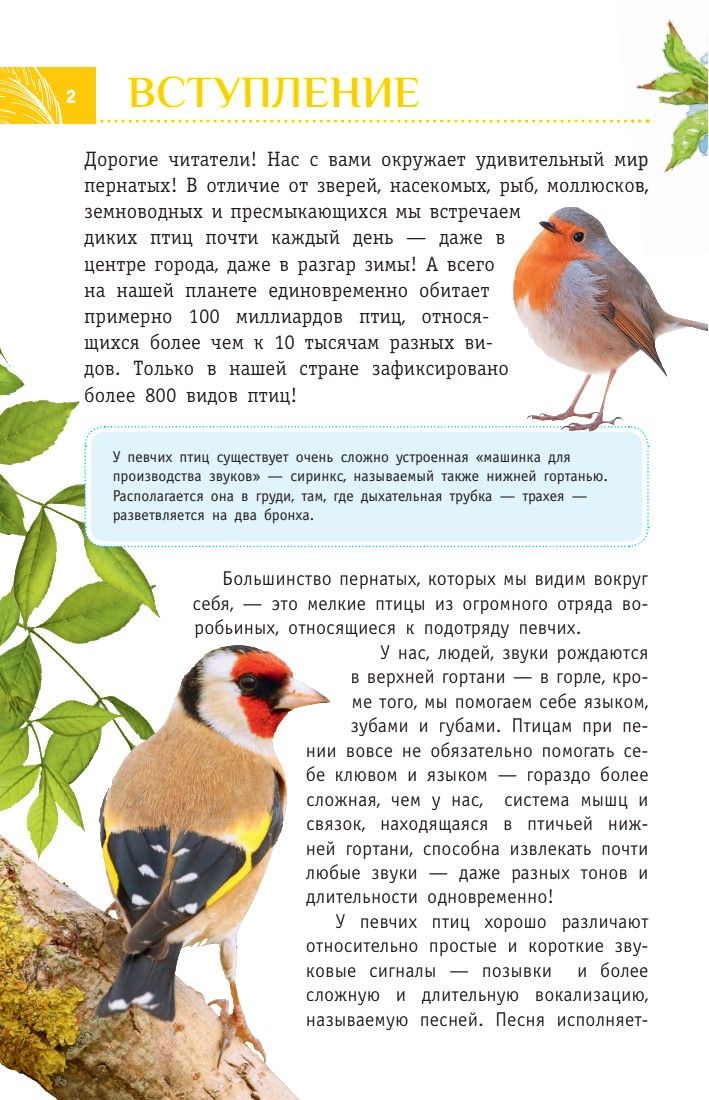 Певчие птицы. Средняя полоса европейской части России. Определитель с голосами птиц | Songbirds of the Central European Russian Plain: Field Guide with Voices - Ozon image 3