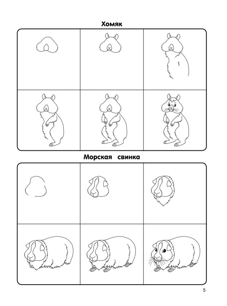 Как нарисовать 100 животных: шаг за шагом | How to Draw 100 Animals: Step - Ozon image 6