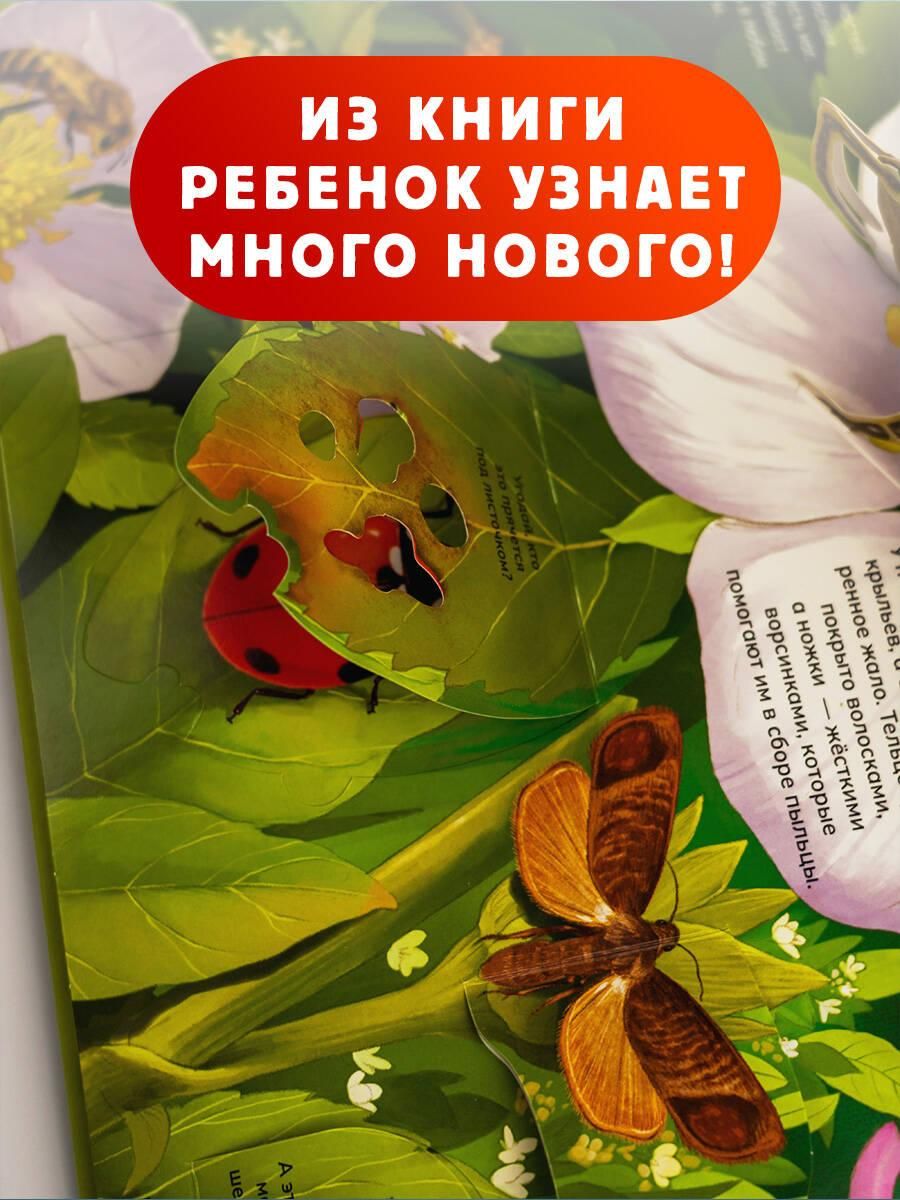 Насекомые. Первая энциклопедия малыша | Reference Book - Ozon image 2