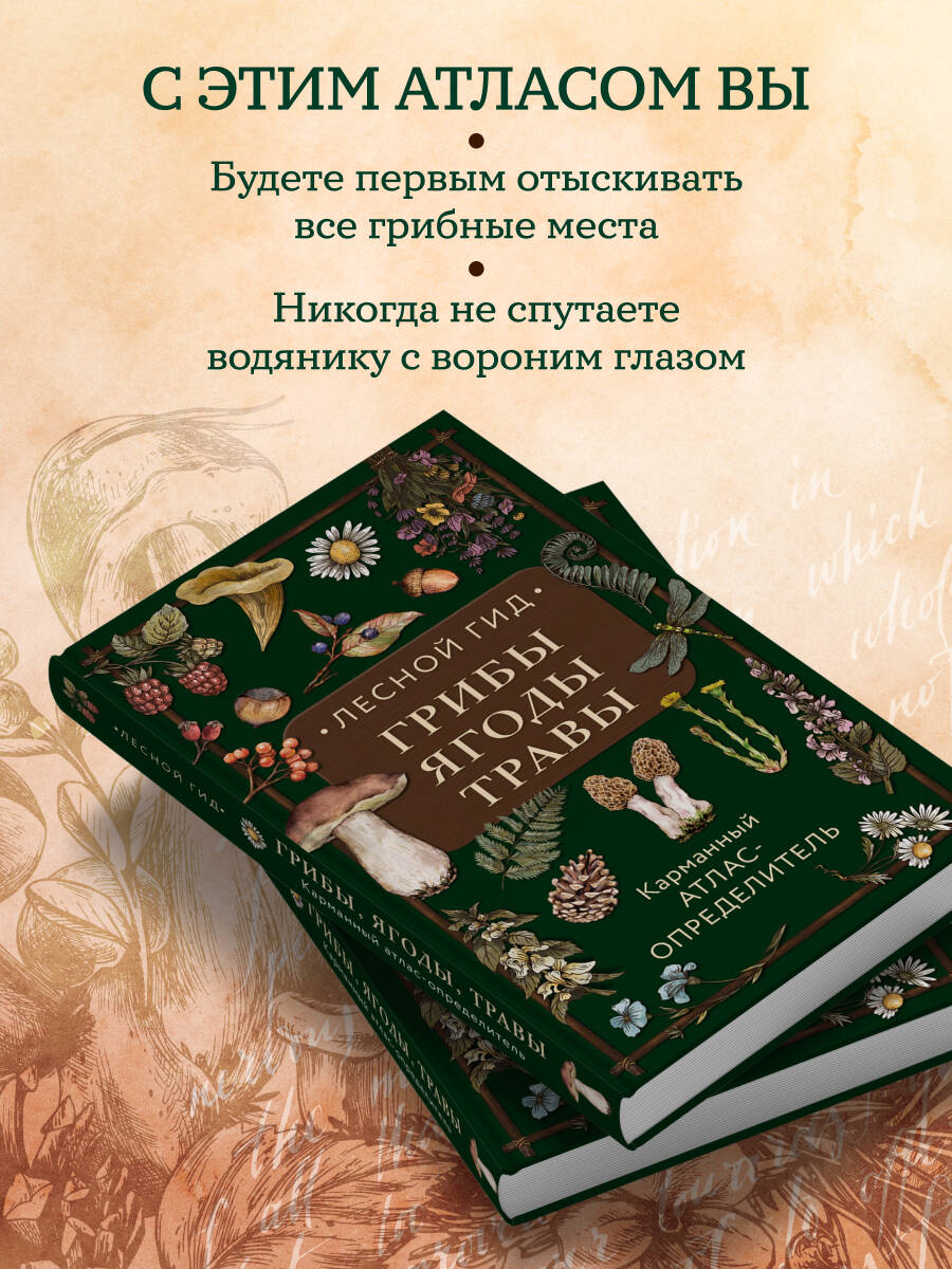 Лесной гид: грибы, ягоды, травы. Карманный атлас-определитель | Forest Guide: Mushrooms, Berries, Herbs. Pocket Identification Atlas - Ozon image 2