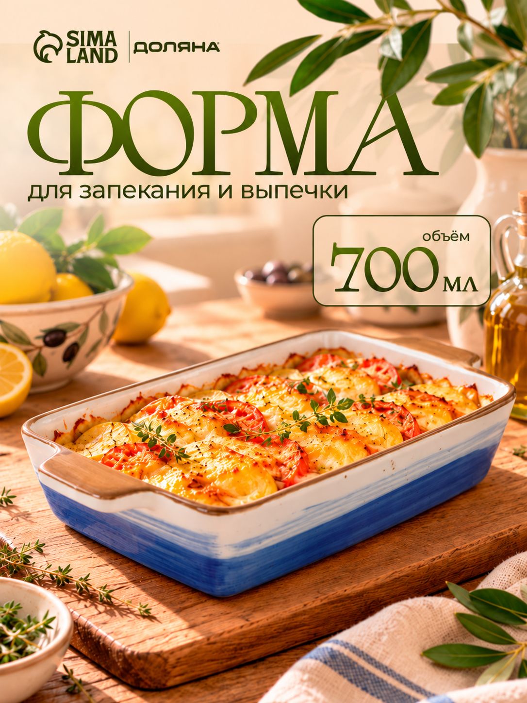 Форма для запекания, объем 700 мл, 23,5х13,5х4,5 см, с ручками, жаропрочный фарфор