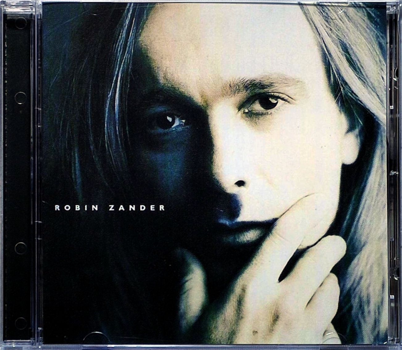 robin zander net worth 2020