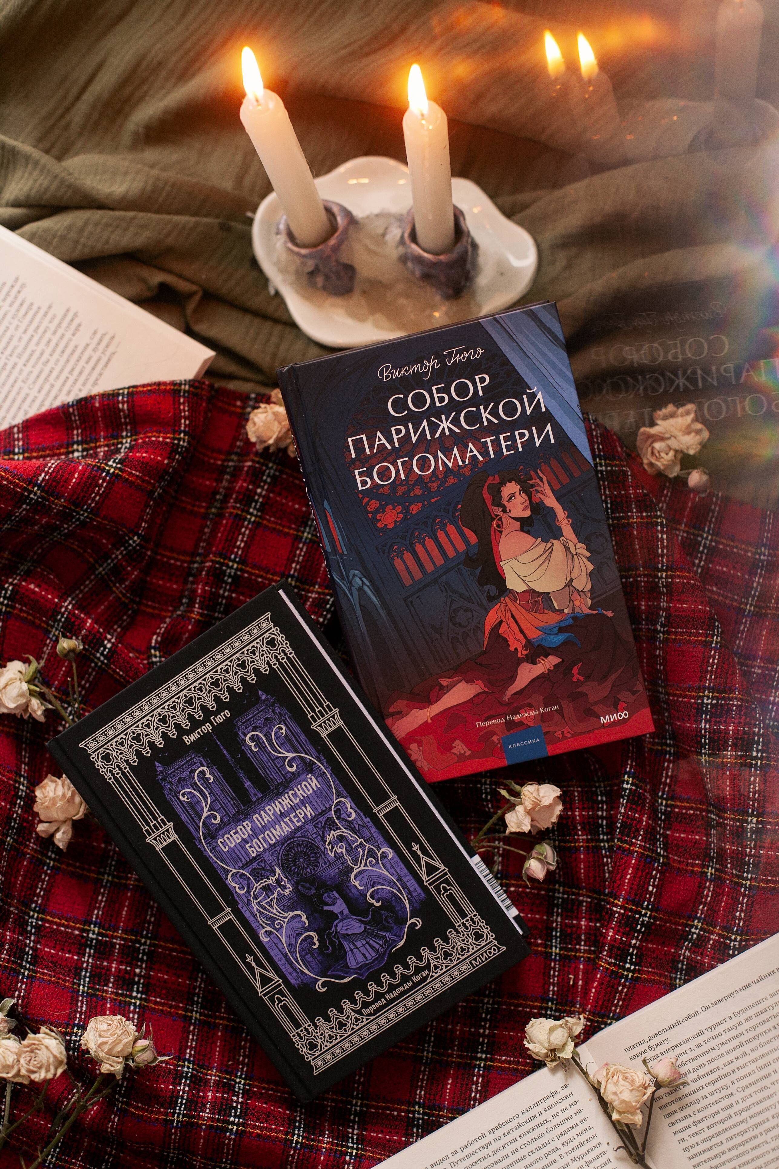 Собор Парижской Богоматери. Вечные истории | The Hunchback of Notre-Dame. Eternal Stories - Ozon image 7