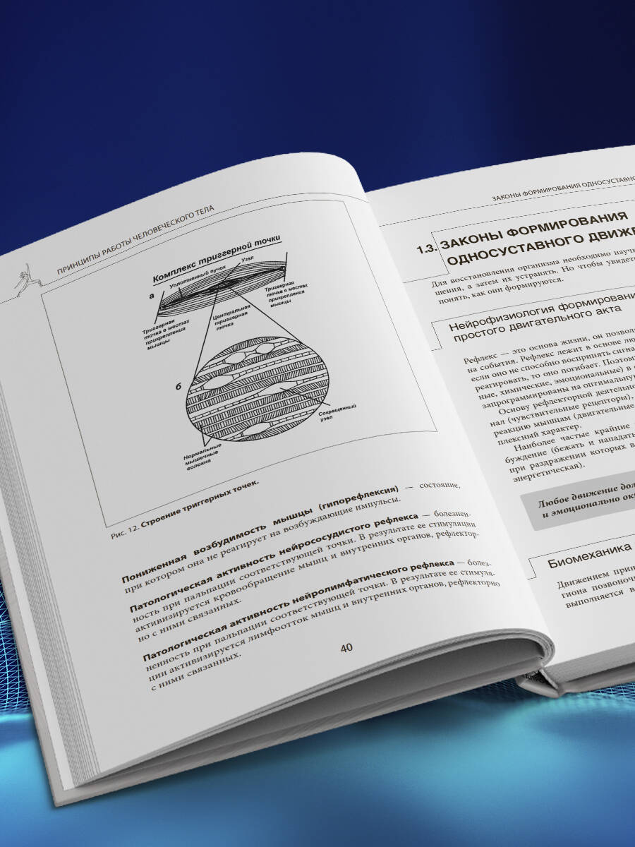 Прикладная кинезиология. Восстановление тонуса и функций скелетных мышц | Applied Kinesiology: Restoring Tone and Function of Skeletal Muscles - Ozon image 6