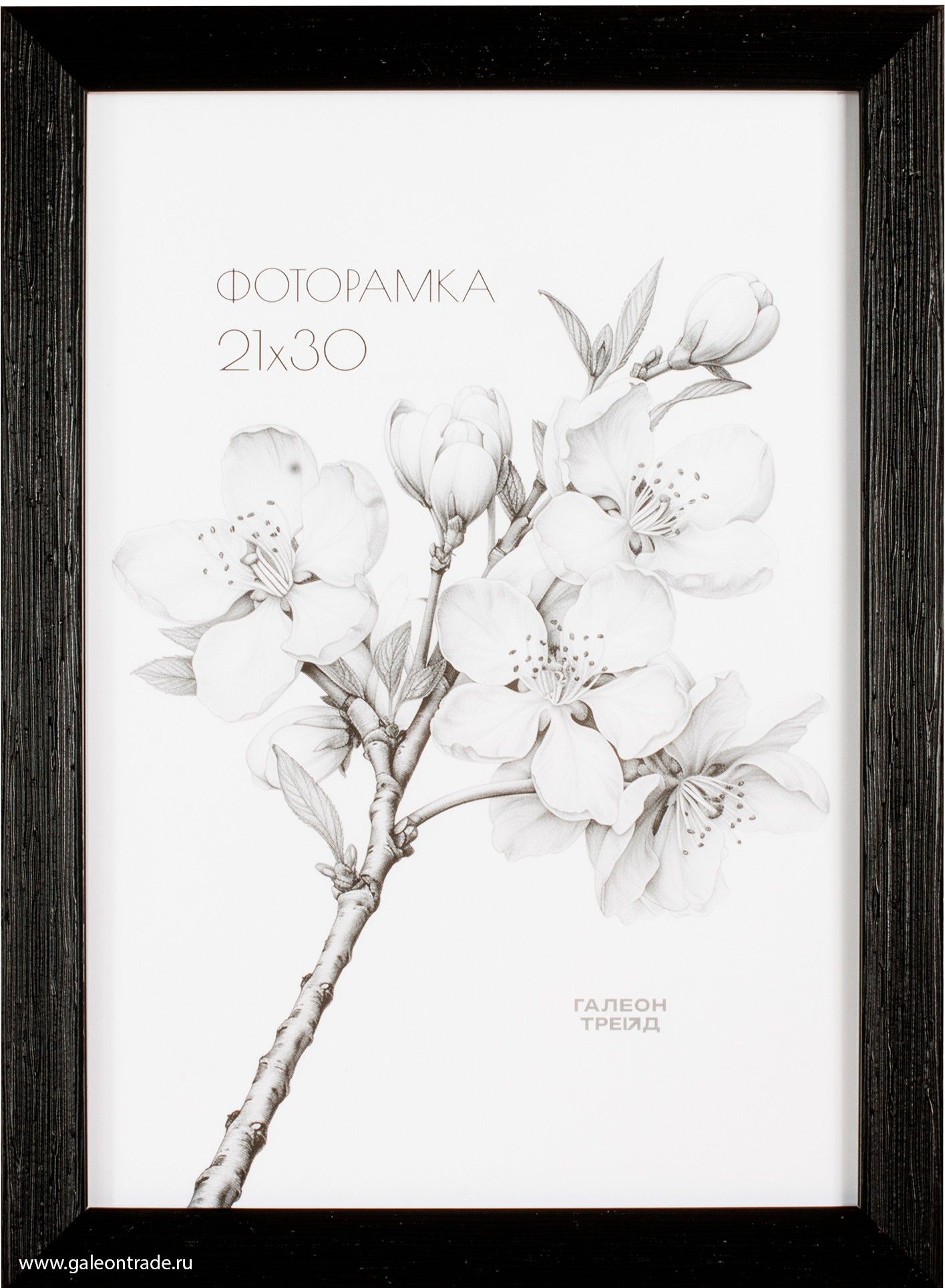 Фоторамка пластиковая 21 х 30 см, черная