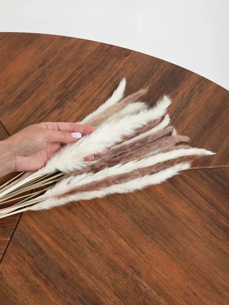 Кортадерия 15 стебли 50-70cm 8 Коричневый+7 белый арт.SJ-6