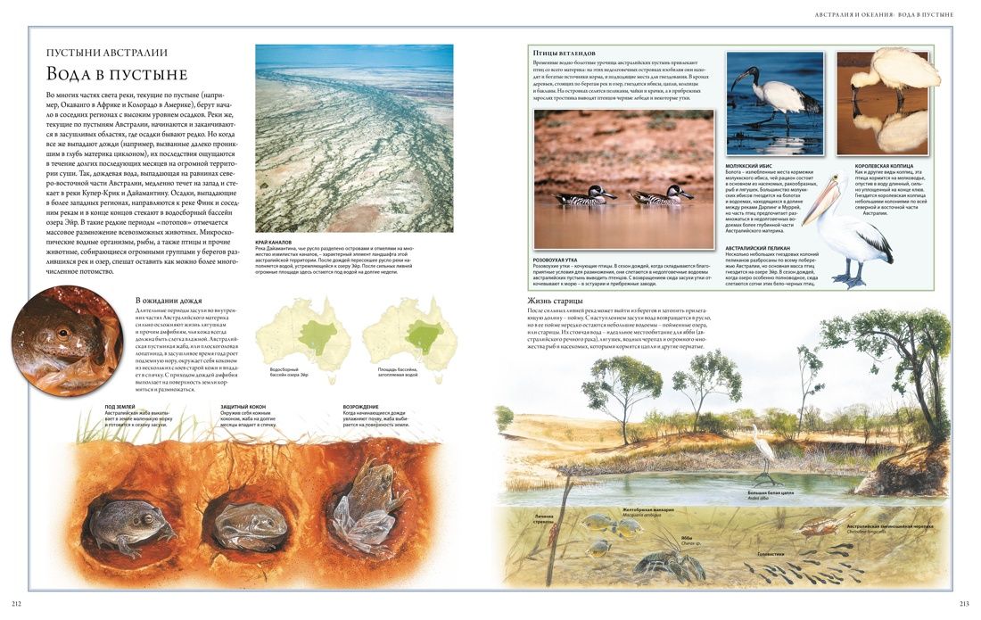 Животный мир. Иллюстрированный атлас | Animal World: Illustrated Atlas - Ozon image 7