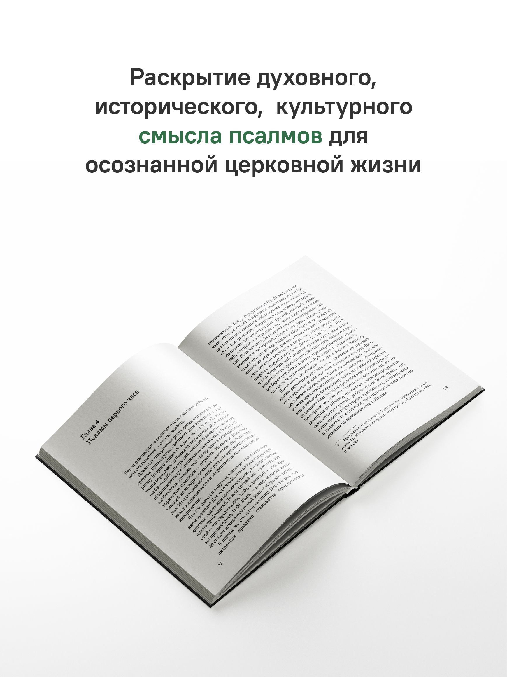 Щит Давида. Толкование псалмов, используемых в православном богослужении | David's Shield: A Guide to the Psalms Used in Orthodox Worship - Ozon image 2
