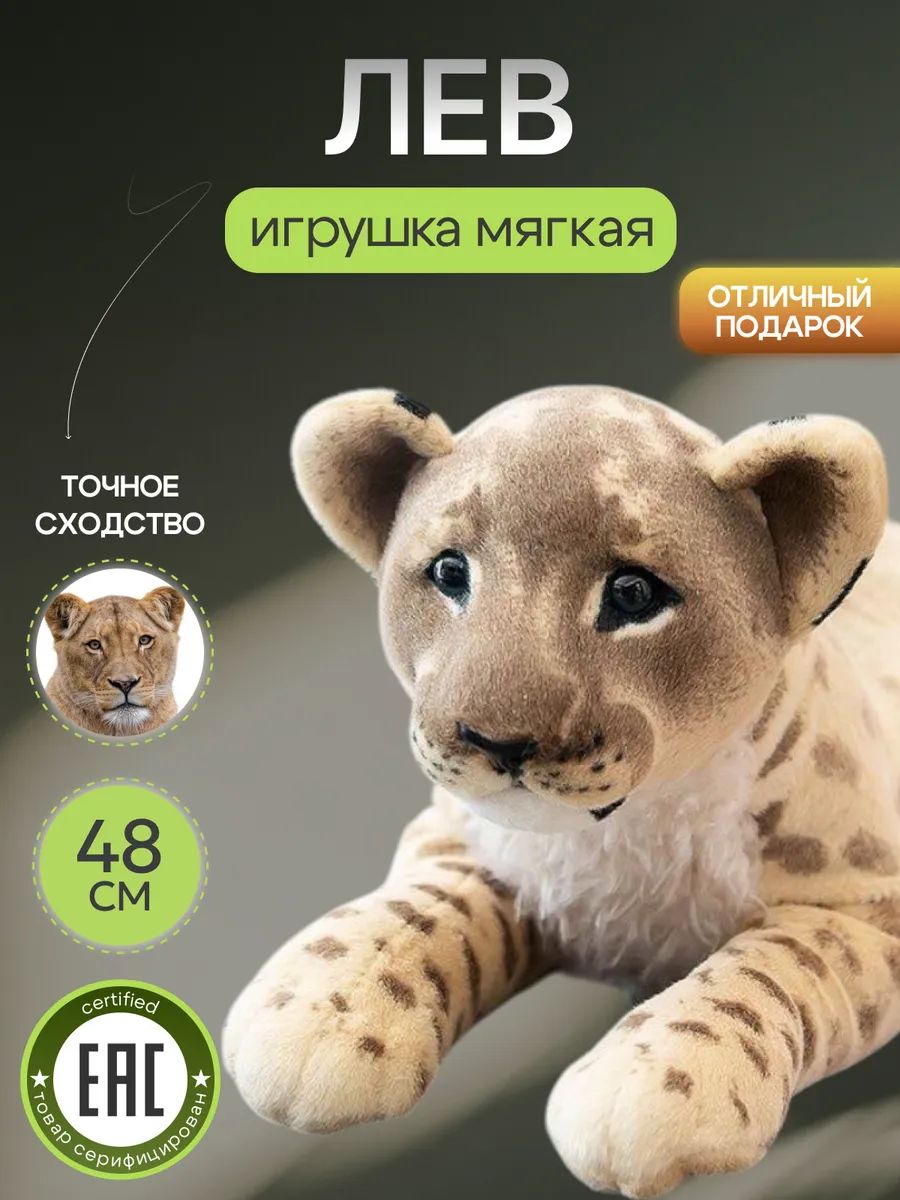 48-ozon