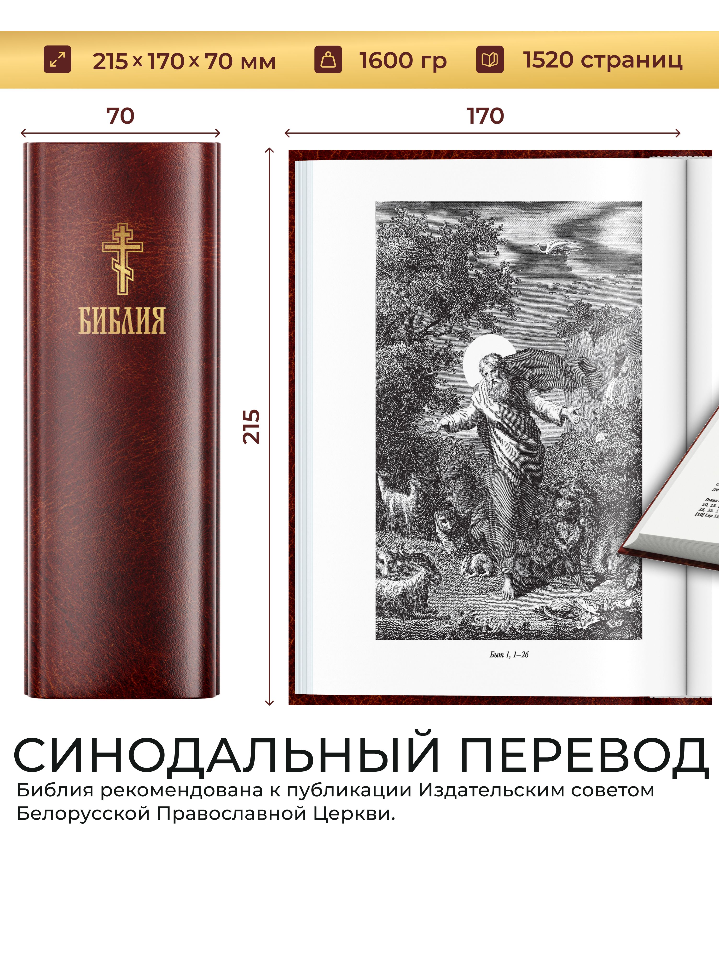 Книга православная Библия, Новый и Ветхий завет, синодальный перевод | Orthodox Bible: Old and New Testaments, Synodal Translation - Ozon image 1
