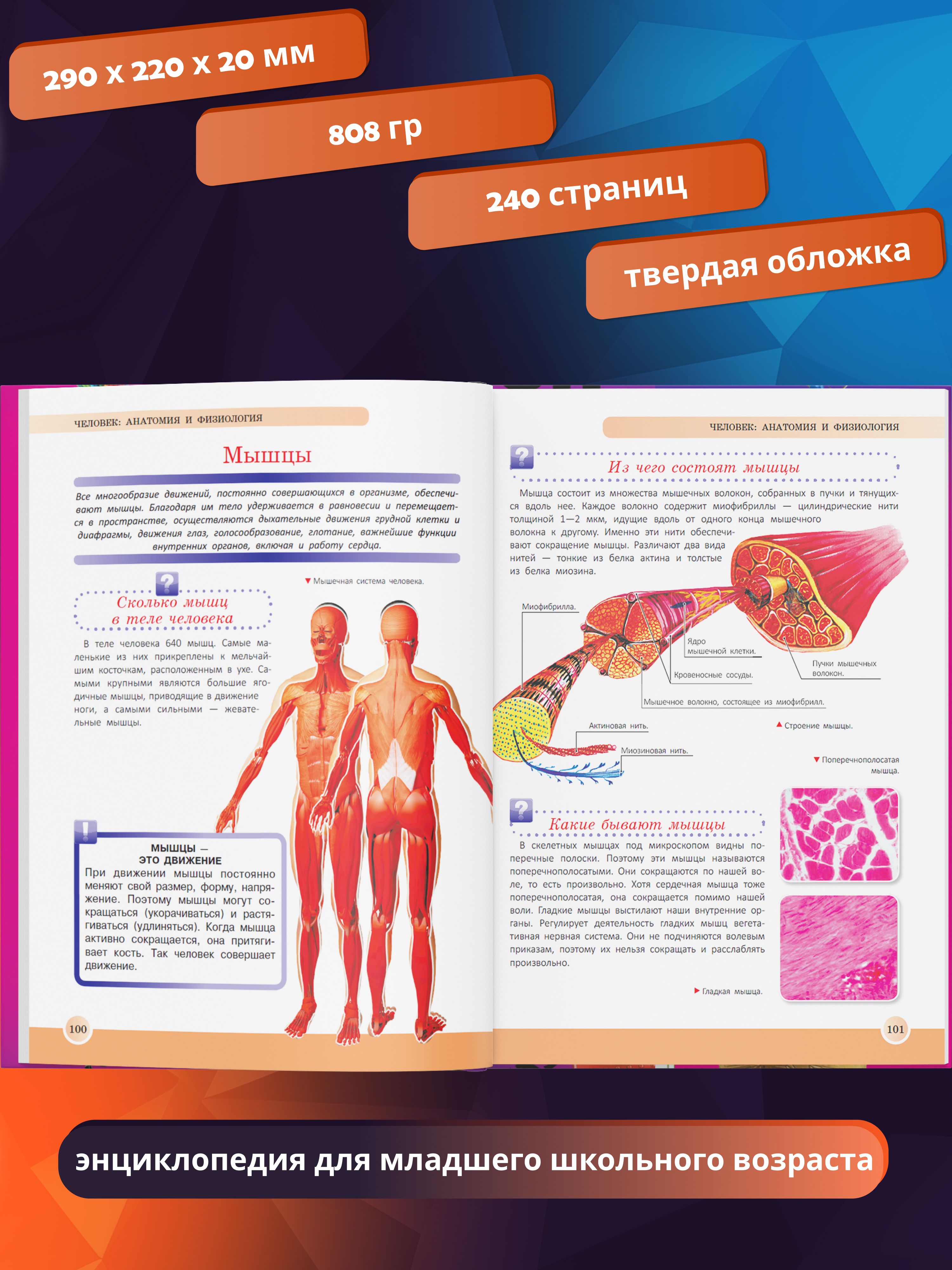 Книга для детей в подарок Новейшая энциклопедия школьника | The New Encyclopedia for Schoolchildren - Ozon image 3