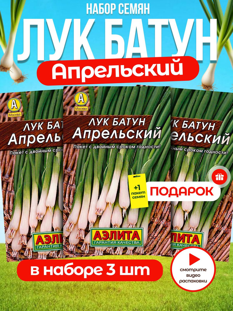 Семена лук батун Апрельский 3шт. #1