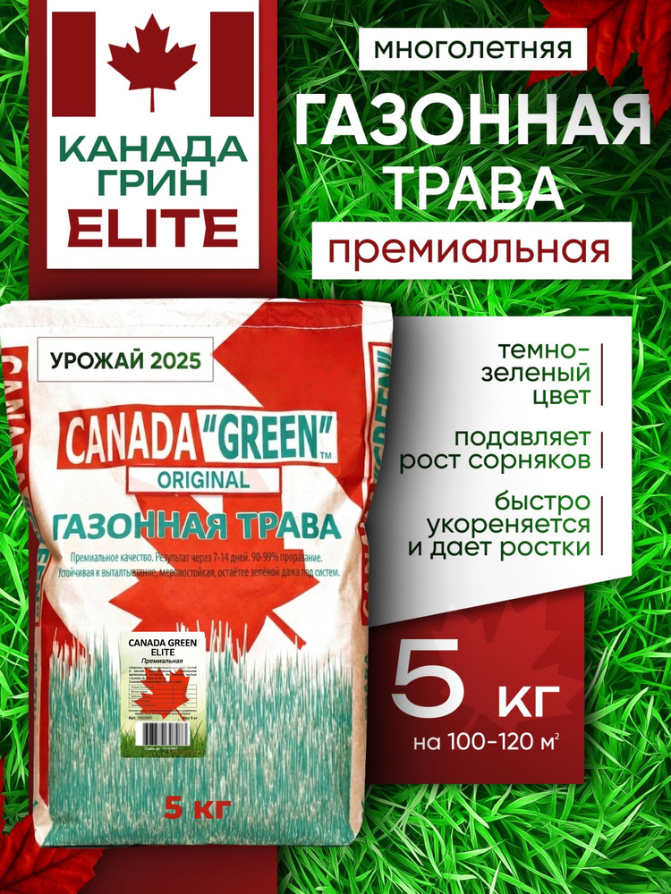 Газонная трава семена Канада Грин Элитная 5 кг / Canada Green Elite 5 кг / семена газона райграс, мятлик, #1