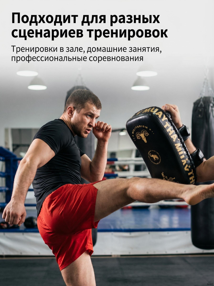 Лапы боксерские  #1