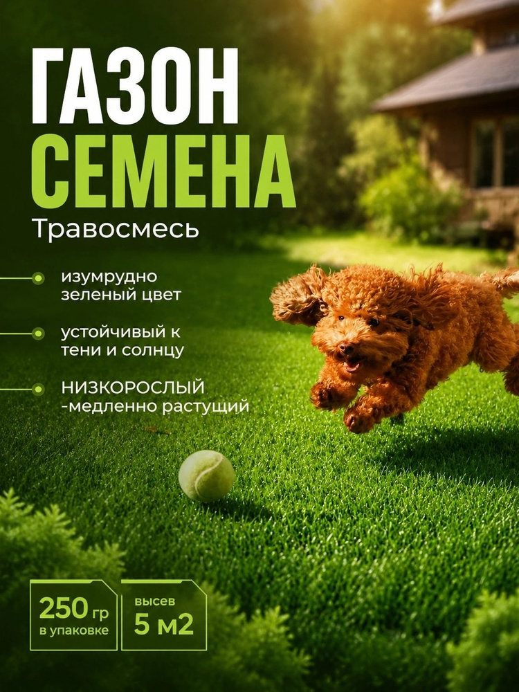 Семена #1