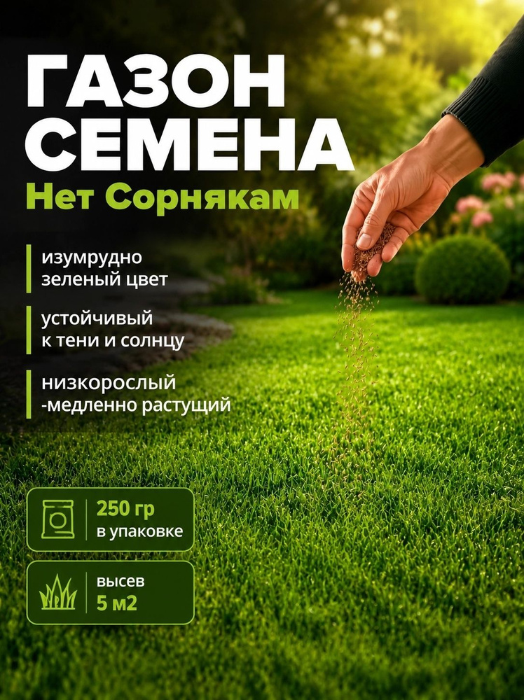 Семена #1