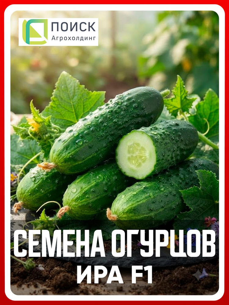 Семена Огурцов "Ира F1", 12 шт, пчелоопыляемые, для дома, дачи и огорода, в открытый грунт, в контейнер. #1