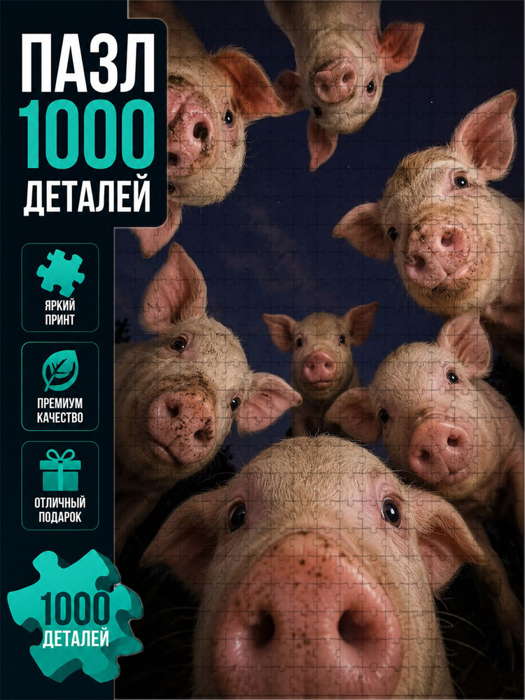 Пазл #1