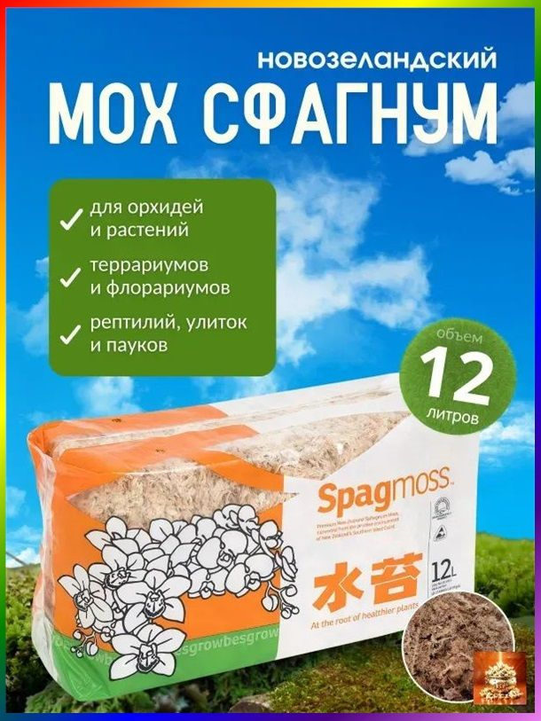 Мох #1