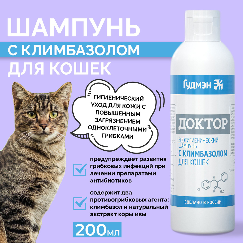 Причины и частые 🐈 места образования перхоти у кошек