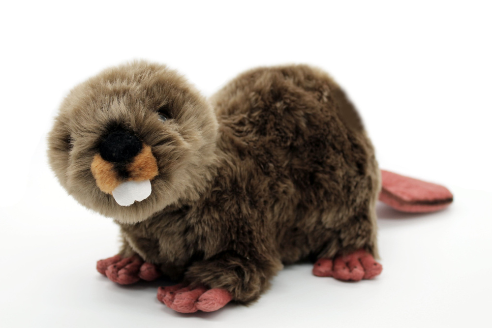 13812 Игрушка мягконабивная Бобр 50см - купить с доставкой по выгодным ...