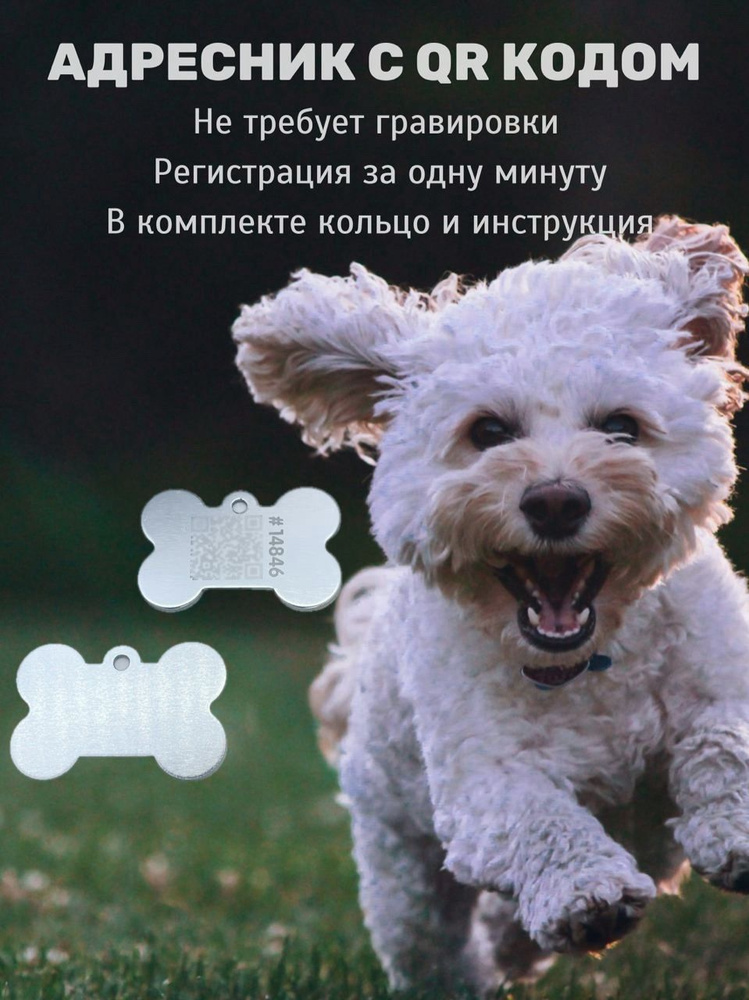 Адресник для собак и кошек с QR кодом - купить с доставкой по выгодным ...
