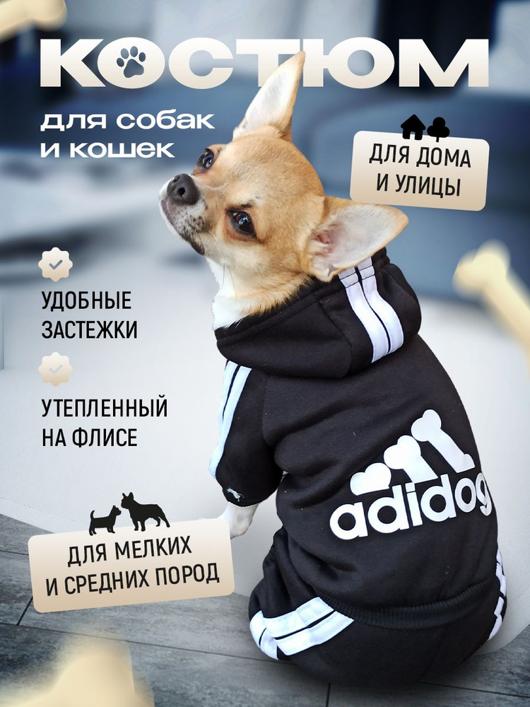 Одежда для животных #1