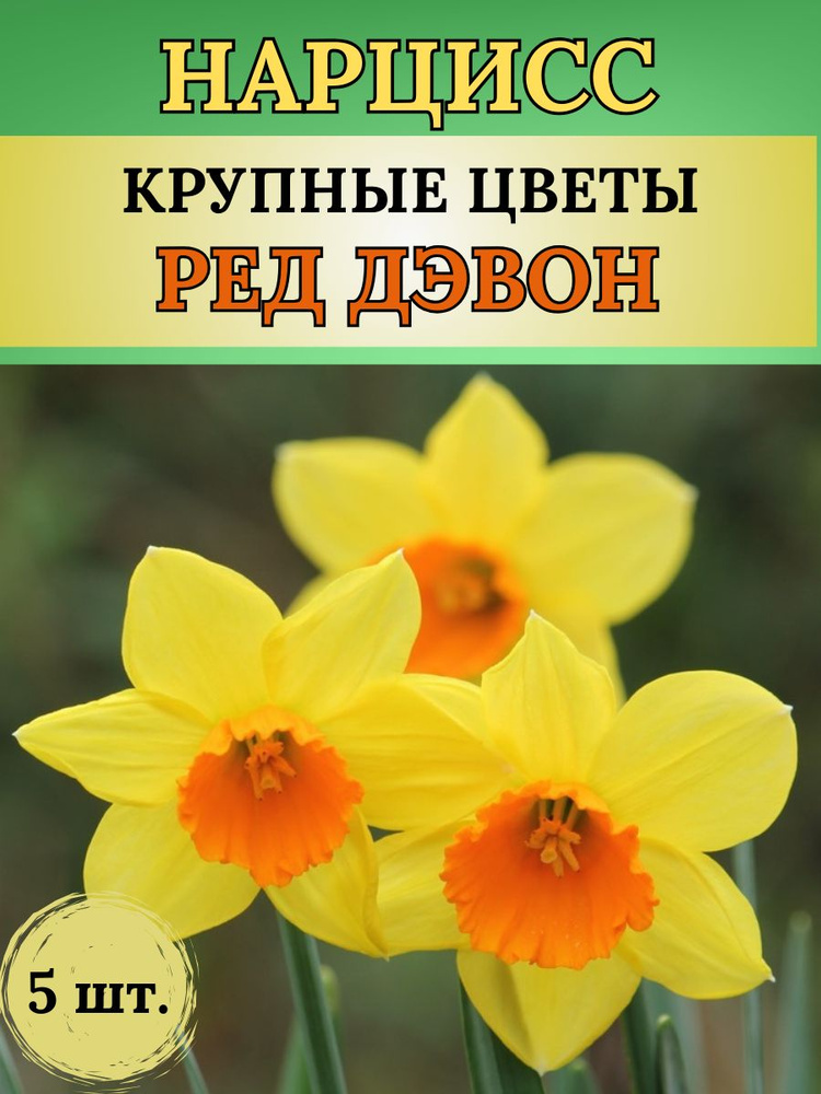 Magic Blooming Garden Луковицы,0.15кг #1