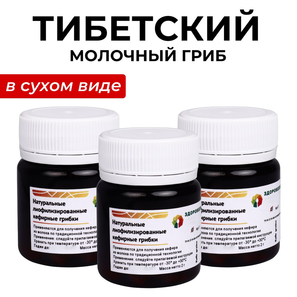 Тибетский молочный гриб, кефирный грибок в сухом виде - 3 шт. - купить ...