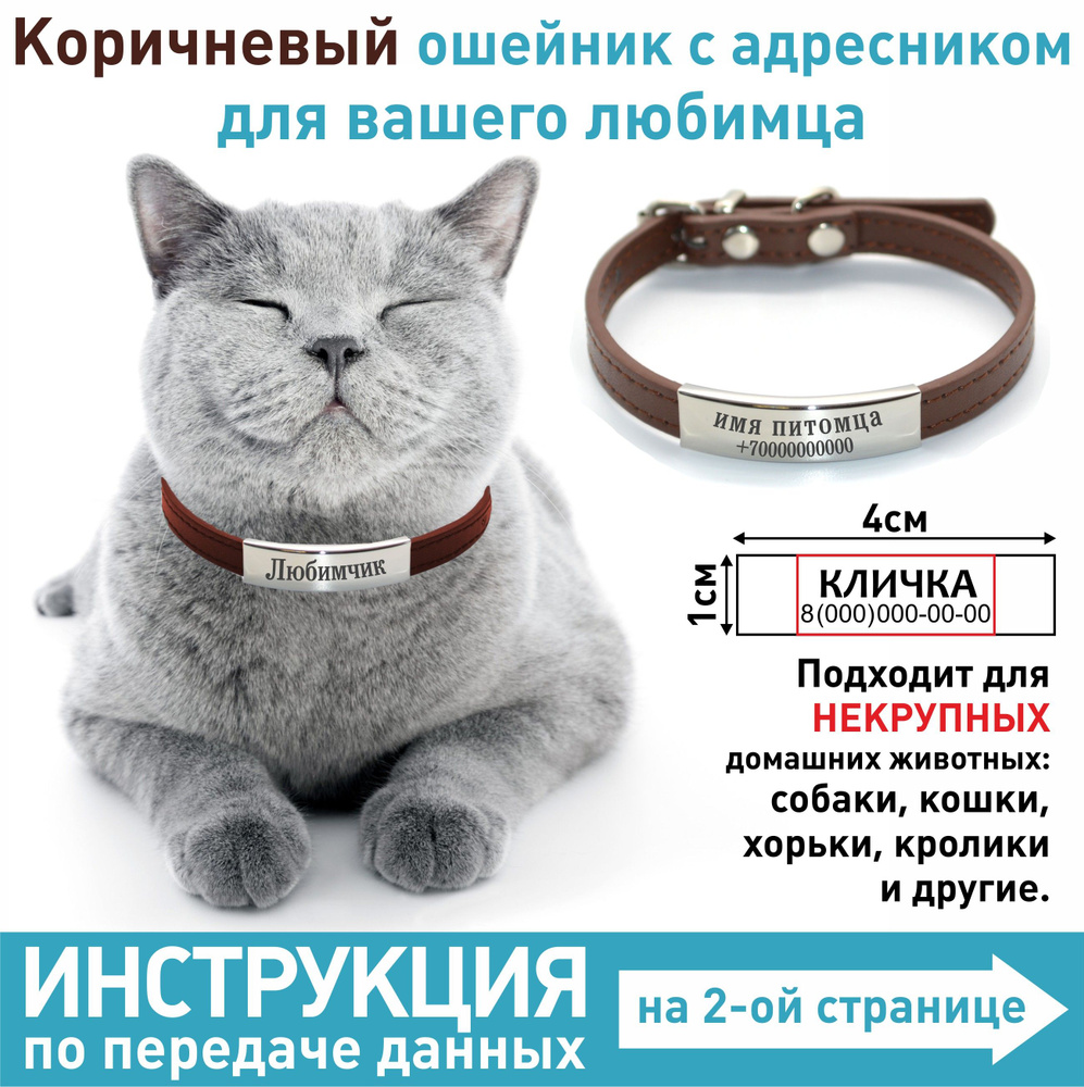 Адресник для собак и кошек: как сделать, зачем нужен и что это такое