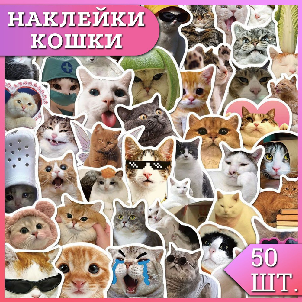 Стикеры наклейки Кошки, 50 шт. Наклейки на телефон, ноутбук, на стену для  декора, для ежедневника - купить с доставкой по выгодным ценам в  интернет-магазине OZON (1283196819)