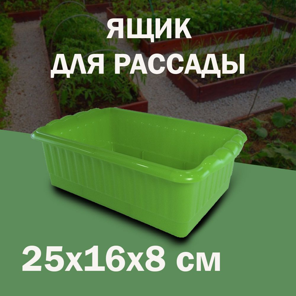 Ящик для рассады 24*16*7 см купить по низкой цене в интернет-магазине ...
